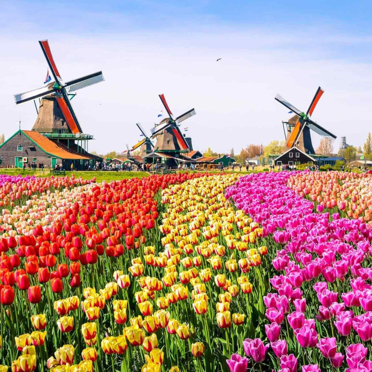 https://eurowayhub.online/wp-content/uploads/2018/09/destination-netherlands-01-1280x1280.jpg