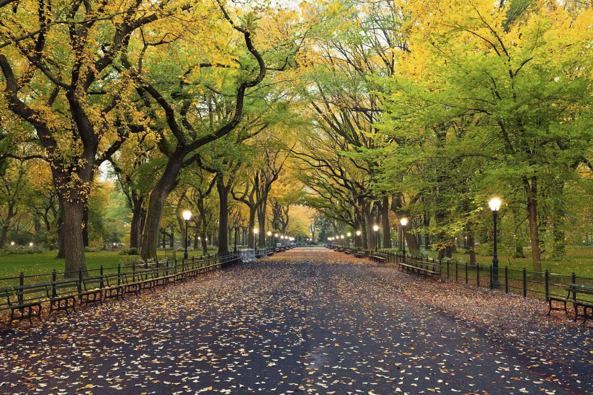 https://eurowayhub.online/wp-content/uploads/2018/09/destination-new-york-02.jpg