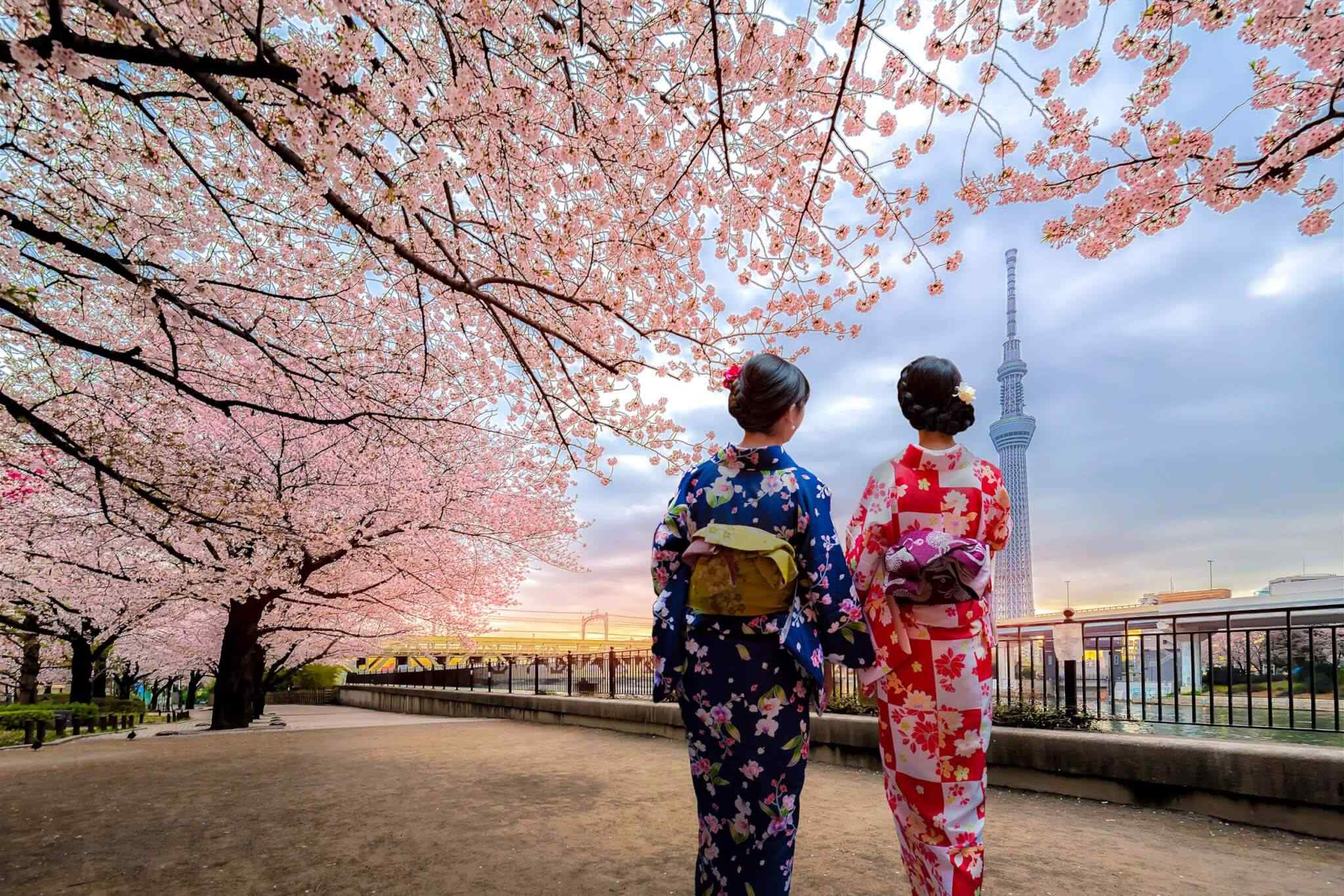 https://eurowayhub.online/wp-content/uploads/2018/09/destination-tokyo-03.jpg
