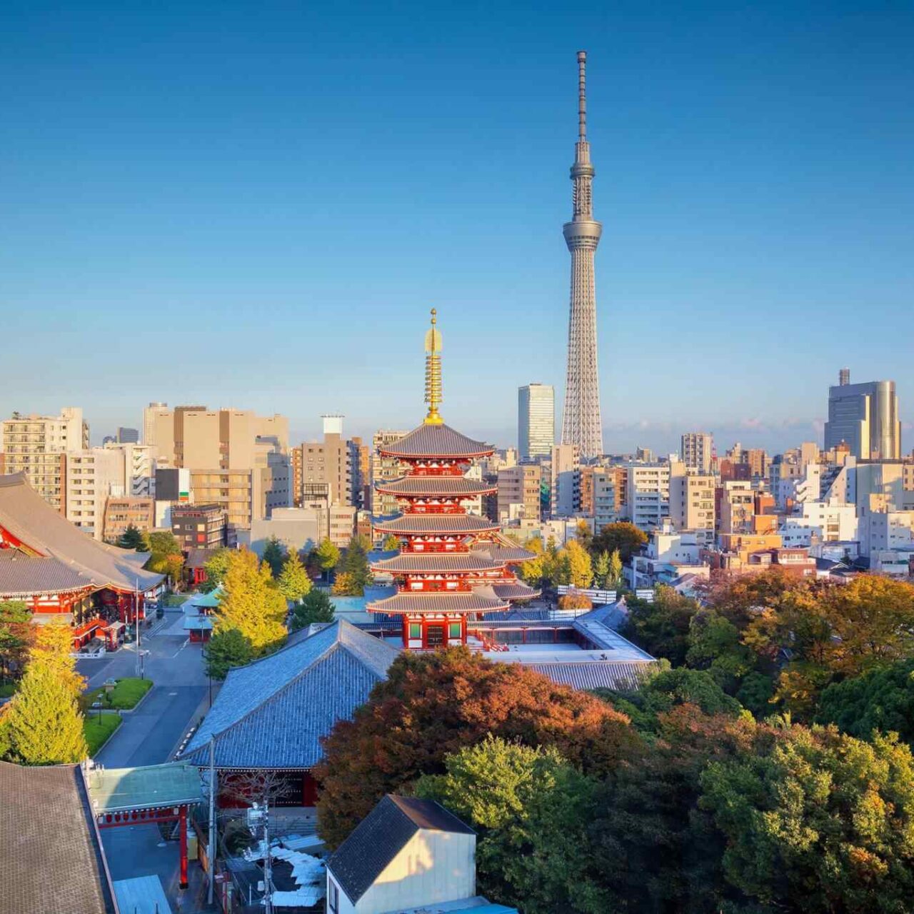 https://eurowayhub.online/wp-content/uploads/2018/09/destination-tokyo-04-1280x1280.jpg