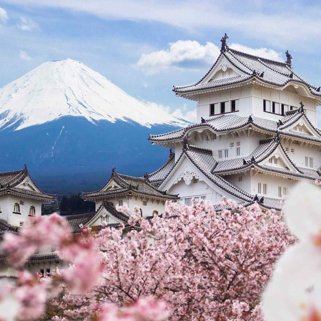 Big in Japan