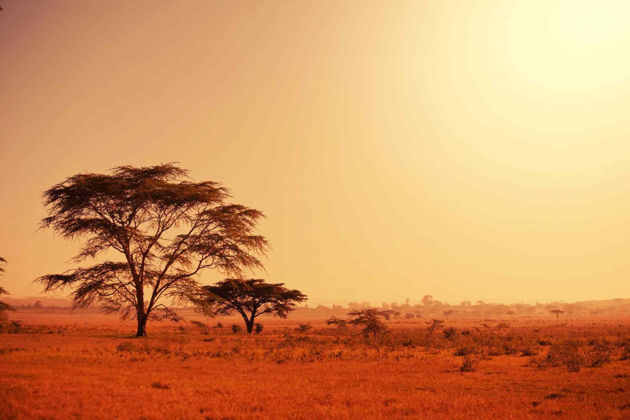 https://eurowayhub.online/wp-content/uploads/2018/09/tour-africa-02.jpg