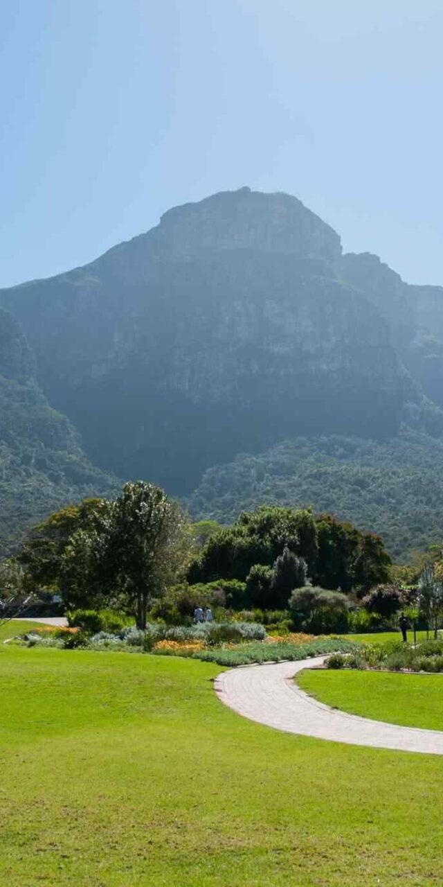 https://eurowayhub.online/wp-content/uploads/2018/09/tour-capetown-03-640x1280.jpg