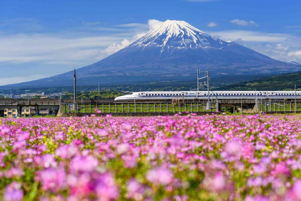 tour-osaka-04 https://eurowayhub.online/wp-content/uploads/2018/09/tour-osaka-04-1280x854.jpg